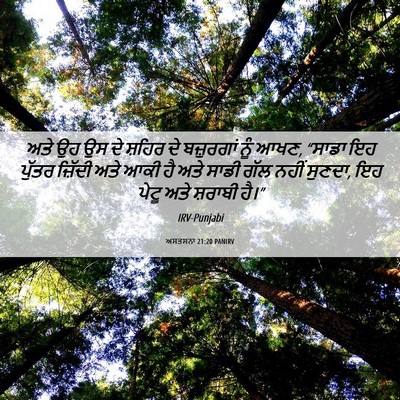 Picture 06 - ਅਸਤਸਨਾ 21:20 PANIRV - ਅਤੇ ਉਹ ਉਸ ਦੇ ਸ਼ਹਿਰ - Bible Verse Picture