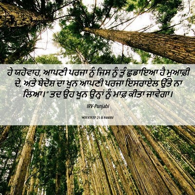 Picture 06 - ਅਸਤਸਨਾ 21:8 PANIRV - ਹੇ ਯਹੋਵਾਹ, ਆਪਣੀ - Bible Verse Picture