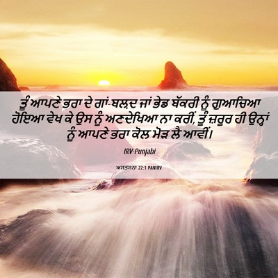 Picture 06 - ਅਸਤਸਨਾ 22:1 PANIRV - ਤੂੰ ਆਪਣੇ ਭਰਾ ਦੇ - Bible Verse Picture