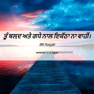 Picture 06 - ਅਸਤਸਨਾ 22:10 PANIRV - ਤੂੰ ਬਲ਼ਦ ਅਤੇ ਗਧੇ - Bible Verse Picture
