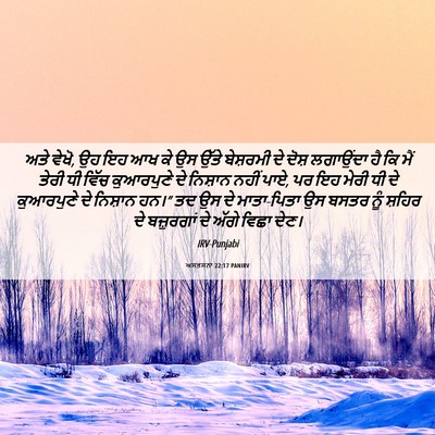 Picture 06 - ਅਸਤਸਨਾ 22:17 PANIRV - ਅਤੇ ਵੇਖੋ, ਉਹ ਇਹ ਆਖ - Bible Verse Picture