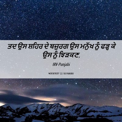 Picture 06 - ਅਸਤਸਨਾ 22:18 PANIRV - ਤਦ ਉਸ ਸ਼ਹਿਰ ਦੇ - Bible Verse Picture