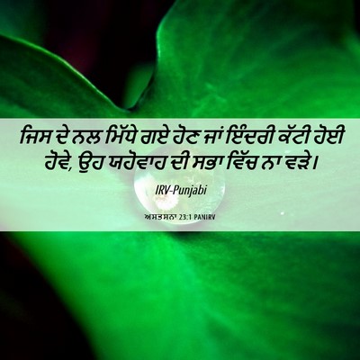 Picture 06 - ਅਸਤਸਨਾ 23:1 PANIRV - ਜਿਸ ਦੇ ਨਲ ਮਿੱਧੇ ਗਏ - Bible Verse Picture