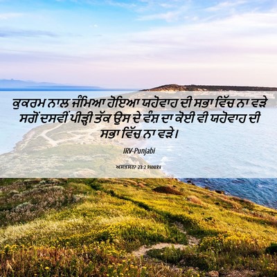 Picture 06 - ਅਸਤਸਨਾ 23:2 PANIRV - ਕੁਕਰਮ ਨਾਲ ਜੰਮਿਆ - Bible Verse Picture