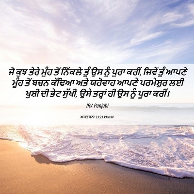 Picture 06 - ਅਸਤਸਨਾ 23:23 PANIRV - ਜੋ ਕੁਝ ਤੇਰੇ ਮੂੰਹ - Bible Verse Picture