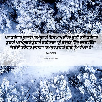 Picture 06 - ਅਸਤਸਨਾ 23:5 PANIRV - ਪਰ ਯਹੋਵਾਹ ਤੁਹਾਡੇ - Bible Verse Picture
