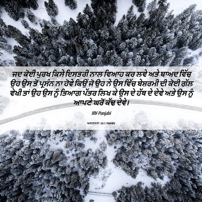 Picture 06 - ਅਸਤਸਨਾ 24:1 PANIRV - ਜਦ ਕੋਈ ਪੁਰਖ ਕਿਸੇ - Bible Verse Picture