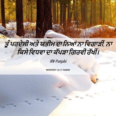 Picture 06 - ਅਸਤਸਨਾ 24:17 PANIRV - ਤੂੰ ਪਰਦੇਸੀ ਅਤੇ - Bible Verse Picture