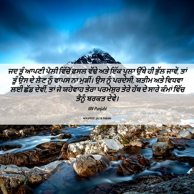 Picture 06 - ਅਸਤਸਨਾ 24:19 PANIRV - ਜਦ ਤੂੰ ਆਪਣੀ ਪੈਲੀ - Bible Verse Picture