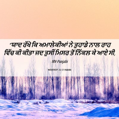 Picture 06 - ਅਸਤਸਨਾ 25:17 PANIRV - “ਯਾਦ ਰੱਖੋ ਕਿ - Bible Verse Picture