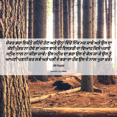 Picture 06 - ਅਸਤਸਨਾ 25:5 PANIRV - ਜੇਕਰ ਭਰਾ ਇਕੱਠੇ - Bible Verse Picture