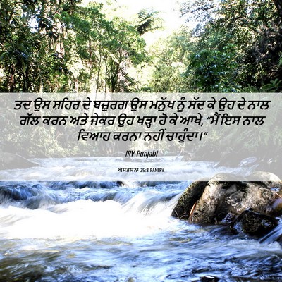 Picture 06 - ਅਸਤਸਨਾ 25:8 PANIRV - ਤਦ ਉਸ ਸ਼ਹਿਰ ਦੇ - Bible Verse Picture