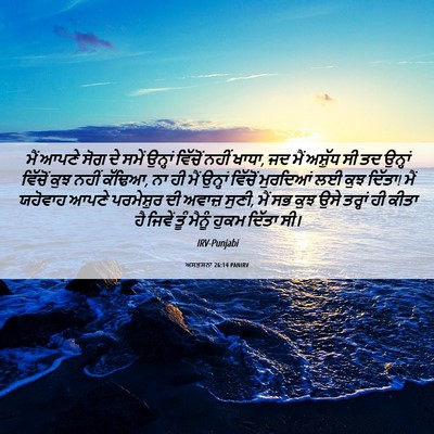 Picture 06 - ਅਸਤਸਨਾ 26:14 PANIRV - ਮੈਂ ਆਪਣੇ ਸੋਗ ਦੇ - Bible Verse Picture
