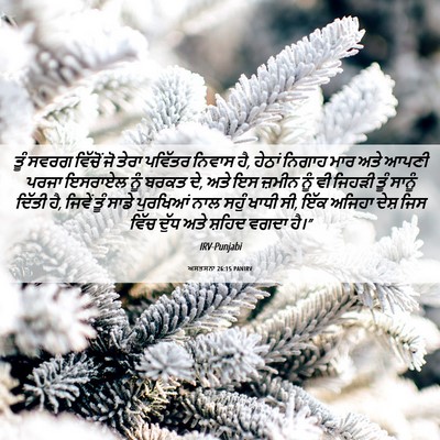 Picture 06 - ਅਸਤਸਨਾ 26:15 PANIRV - ਤੂੰ ਸਵਰਗ ਵਿੱਚੋਂ ਜੋ - Bible Verse Picture