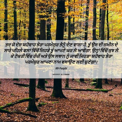 Picture 06 - ਅਸਤਸਨਾ 26:2 PANIRV - ਤਦ ਜੋ ਦੇਸ਼ ਯਹੋਵਾਹ - Bible Verse Picture