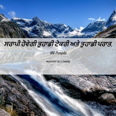 Picture 06 - ਅਸਤਸਨਾ 28:17 PANIRV - ਸਰਾਪੀ ਹੋਵੇਗੀ - Bible Verse Picture