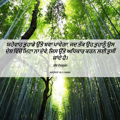 Picture 06 - ਅਸਤਸਨਾ 28:21 PANIRV - ਯਹੋਵਾਹ ਤੁਹਾਡੇ - Bible Verse Picture