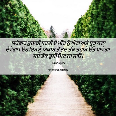 Picture 06 - ਅਸਤਸਨਾ 28:24 PANIRV - ਯਹੋਵਾਹ ਤੁਹਾਡੀ - Bible Verse Picture