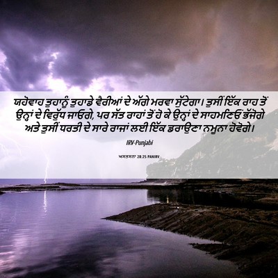 Picture 06 - ਅਸਤਸਨਾ 28:25 PANIRV - ਯਹੋਵਾਹ ਤੁਹਾਨੂੰ - Bible Verse Picture