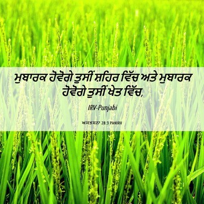 Picture 06 - ਅਸਤਸਨਾ 28:3 PANIRV - ਮੁਬਾਰਕ ਹੋਵੋਗੇ - Bible Verse Picture