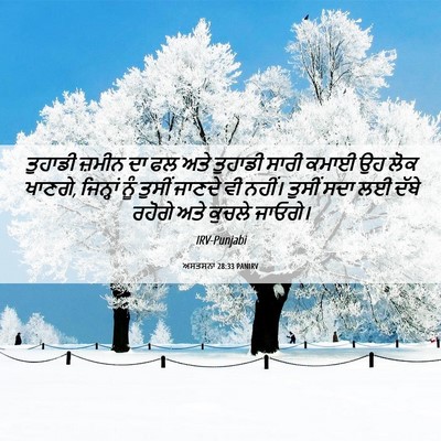 Picture 06 - ਅਸਤਸਨਾ 28:33 PANIRV - ਤੁਹਾਡੀ ਜ਼ਮੀਨ ਦਾ ਫਲ - Bible Verse Picture