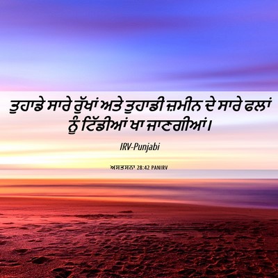 Picture 06 - ਅਸਤਸਨਾ 28:42 PANIRV - ਤੁਹਾਡੇ ਸਾਰੇ - Bible Verse Picture