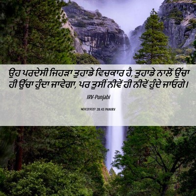Picture 06 - ਅਸਤਸਨਾ 28:43 PANIRV - ਉਹ ਪਰਦੇਸੀ ਜਿਹੜਾ - Bible Verse Picture