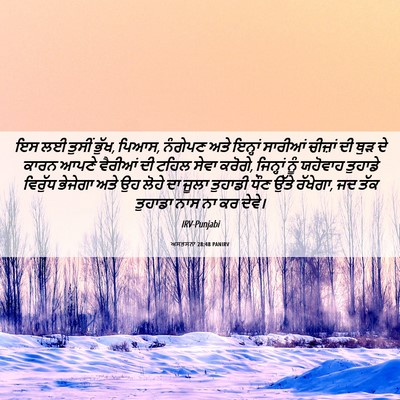 Picture 06 - ਅਸਤਸਨਾ 28:48 PANIRV - ਇਸ ਲਈ ਤੁਸੀਂ ਭੁੱਖ, - Bible Verse Picture