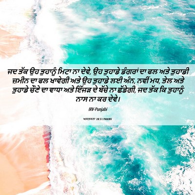 Picture 06 - ਅਸਤਸਨਾ 28:51 PANIRV - ਜਦ ਤੱਕ ਉਹ ਤੁਹਾਨੂੰ - Bible Verse Picture
