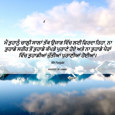 Picture 06 - ਅਸਤਸਨਾ 29:5 PANIRV - ਮੈਂ ਤੁਹਾਨੂੰ - Bible Verse Picture