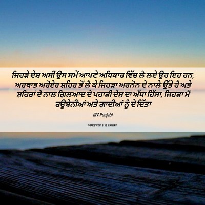 Picture 06 - ਅਸਤਸਨਾ 3:12 PANIRV - ਜਿਹੜੇ ਦੇਸ਼ ਅਸੀਂ ਉਸ - Bible Verse Picture