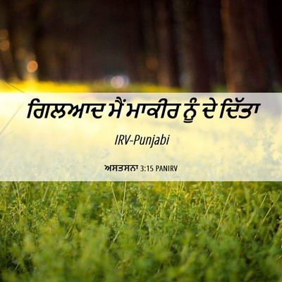 Picture 06 - ਅਸਤਸਨਾ 3:15 PANIRV - ਗਿਲਆਦ ਮੈਂ ਮਾਕੀਰ - Bible Verse Picture