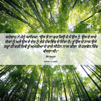 Picture 06 - ਅਸਤਸਨਾ 3:2 PANIRV - ਯਹੋਵਾਹ ਨੇ ਮੈਨੂੰ - Bible Verse Picture