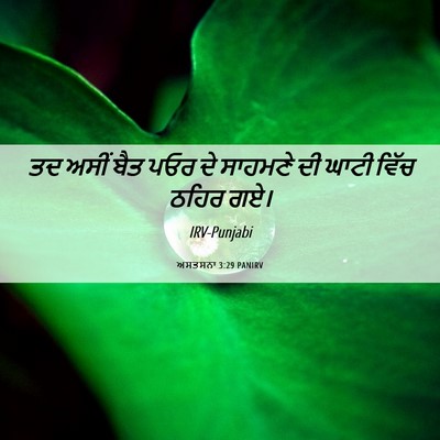 Picture 06 - ਅਸਤਸਨਾ 3:29 PANIRV - ਤਦ ਅਸੀਂ ਬੈਤ ਪਓਰ ਦੇ - Bible Verse Picture