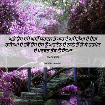 Picture 06 - ਅਸਤਸਨਾ 3:8 PANIRV - ਅਤੇ ਉਸ ਸਮੇਂ ਅਸੀਂ - Bible Verse Picture