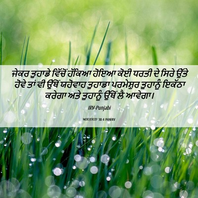 Picture 06 - ਅਸਤਸਨਾ 30:4 PANIRV - ਜੇਕਰ ਤੁਹਾਡੇ - Bible Verse Picture