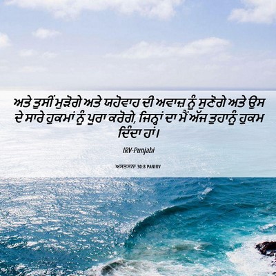Picture 06 - ਅਸਤਸਨਾ 30:8 PANIRV - ਅਤੇ ਤੁਸੀਂ ਮੁੜੋਗੇ - Bible Verse Picture