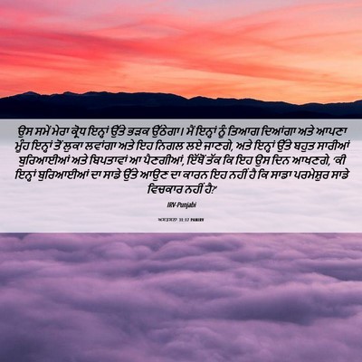 Picture 06 - ਅਸਤਸਨਾ 31:17 PANIRV - ਉਸ ਸਮੇਂ ਮੇਰਾ ਕ੍ਰੋਧ - Bible Verse Picture