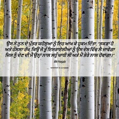 Picture 06 - ਅਸਤਸਨਾ 31:23 PANIRV - ਉਸ ਨੇ ਨੂਨ ਦੇ ਪੁੱਤਰ - Bible Verse Picture