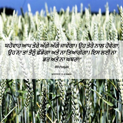 Picture 06 - ਅਸਤਸਨਾ 31:8 PANIRV - ਯਹੋਵਾਹ ਆਪ ਤੇਰੇ - Bible Verse Picture