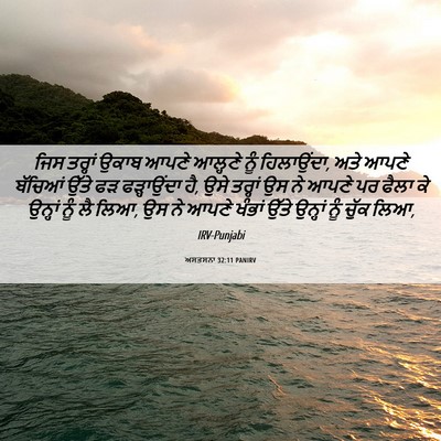 Picture 06 - ਅਸਤਸਨਾ 32:11 PANIRV - ਜਿਸ ਤਰ੍ਹਾਂ ਉਕਾਬ - Bible Verse Picture