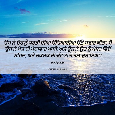 Picture 06 - ਅਸਤਸਨਾ 32:13 PANIRV - ਉਸ ਨੇ ਉਹ ਨੂੰ ਧਰਤੀ - Bible Verse Picture