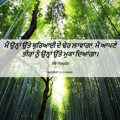 Picture 06 - ਅਸਤਸਨਾ 32:23 PANIRV - ਮੈਂ ਉਨ੍ਹਾਂ ਉੱਤੇ - Bible Verse Picture