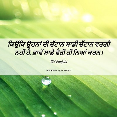 Picture 06 - ਅਸਤਸਨਾ 32:31 PANIRV - ਕਿਉਂਕਿ ਉਹਨਾਂ ਦੀ - Bible Verse Picture