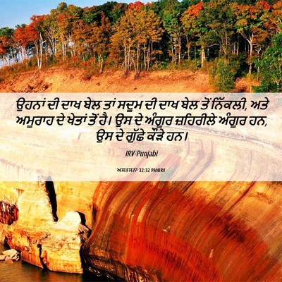 Picture 06 - ਅਸਤਸਨਾ 32:32 PANIRV - ਉਹਨਾਂ ਦੀ ਦਾਖ ਬੇਲ - Bible Verse Picture
