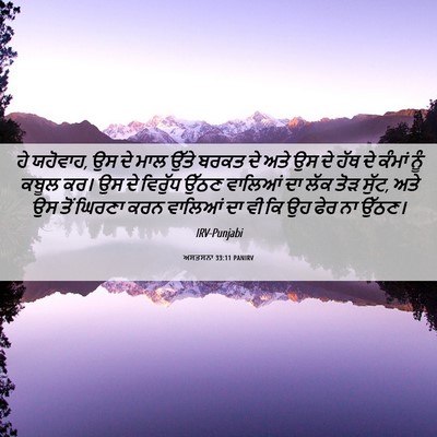 Picture 06 - ਅਸਤਸਨਾ 33:11 PANIRV - ਹੇ ਯਹੋਵਾਹ, ਉਸ ਦੇ - Bible Verse Picture