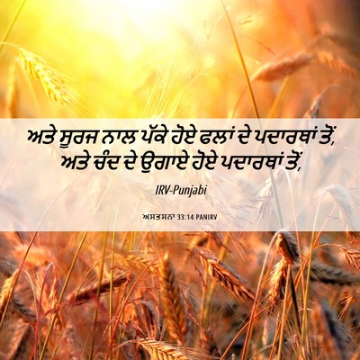 Picture 06 - ਅਸਤਸਨਾ 33:14 PANIRV - ਅਤੇ ਸੂਰਜ ਨਾਲ ਪੱਕੇ - Bible Verse Picture
