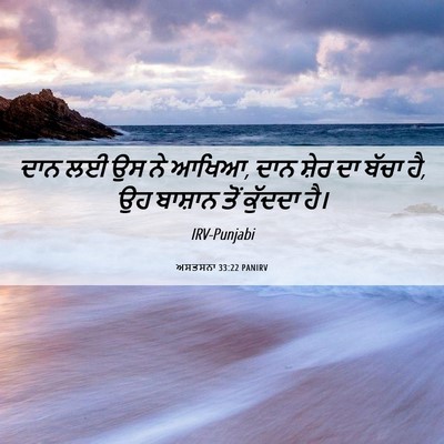 Picture 06 - ਅਸਤਸਨਾ 33:22 PANIRV - ਦਾਨ ਲਈ ਉਸ ਨੇ ਆਖਿਆ, - Bible Verse Picture