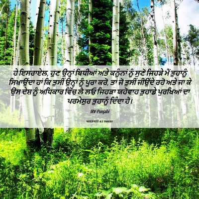 Picture 06 - ਅਸਤਸਨਾ 4:1 PANIRV - ਹੇ ਇਸਰਾਏਲ, ਹੁਣ - Bible Verse Picture