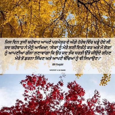 Picture 06 - ਅਸਤਸਨਾ 4:10 PANIRV - ਜਿਸ ਦਿਨ ਤੁਸੀਂ - Bible Verse Picture